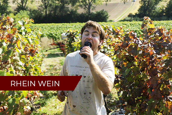 Rhein-Wein in 60 Minuten Weinseminar | Februar 2024 Rhein-Wein in 60 Minuten Weinseminar | Februar 2024