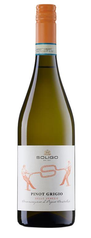 2020 Pinot Grigio DOC