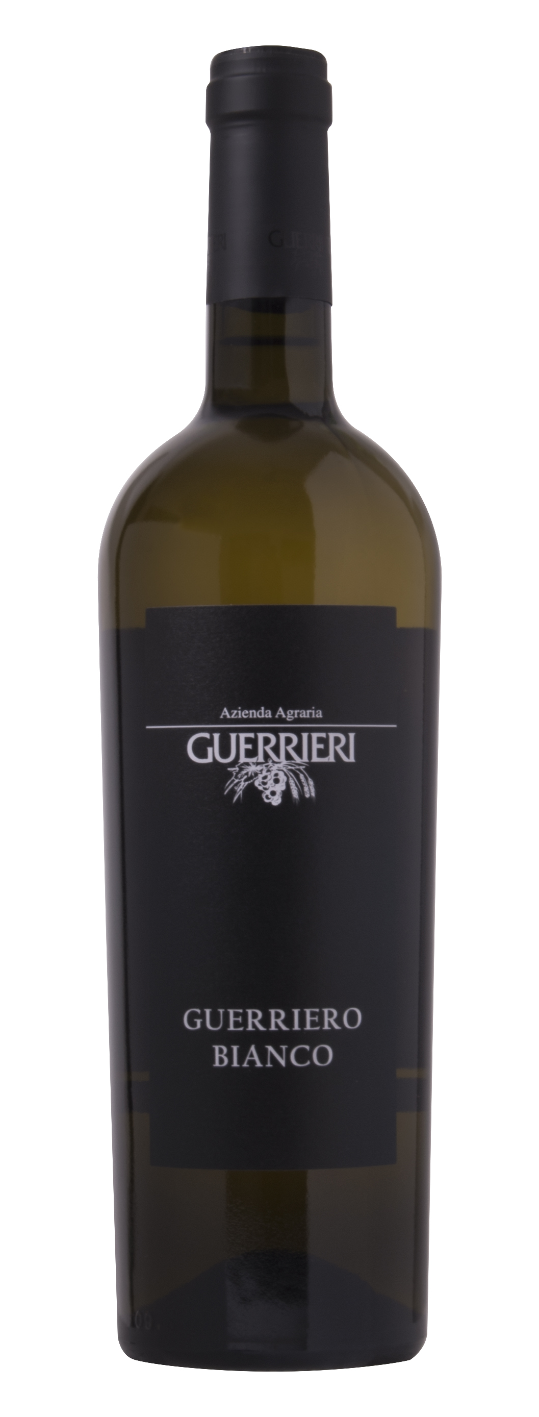 2020 Guerriero Bianco 2020 Guerriero Bianco
